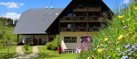 Esterni