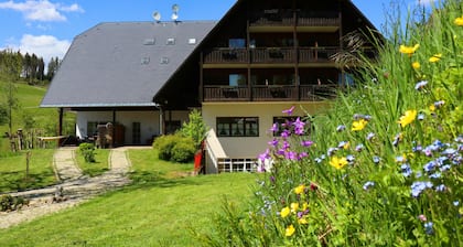 stuub jostal