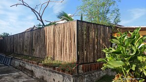 Una valla de madera con base de ladrillo, una palmera y una planta de hojas anchas.