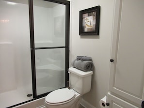 Combined shower/tub, hair dryer, towels