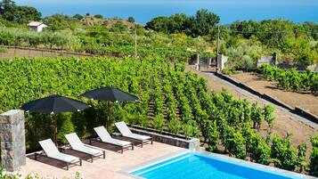 Seasonal outdoor pool, pool umbrellas, pool loungers