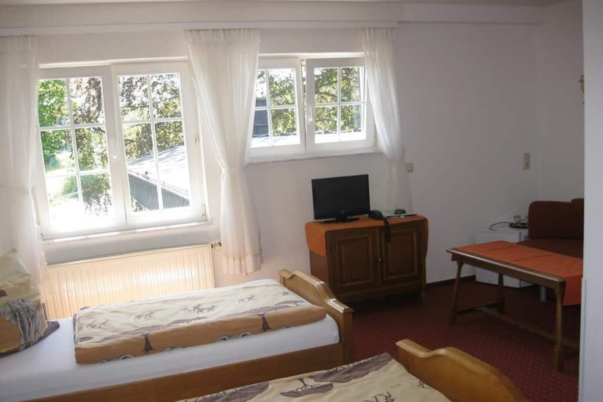 Standard Double or Twin Room, Non Smoking | Minibar, individually furnished, desk, laptop workspace