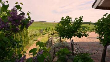 Apartment (Sonnenkamp OG) | Blick auf den Garten