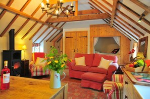 TV, DVD player, books, music library