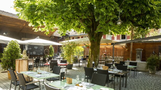 Un café en plein air, avec des tables et des chaises, entouré d’arbres et de plantes en pot.