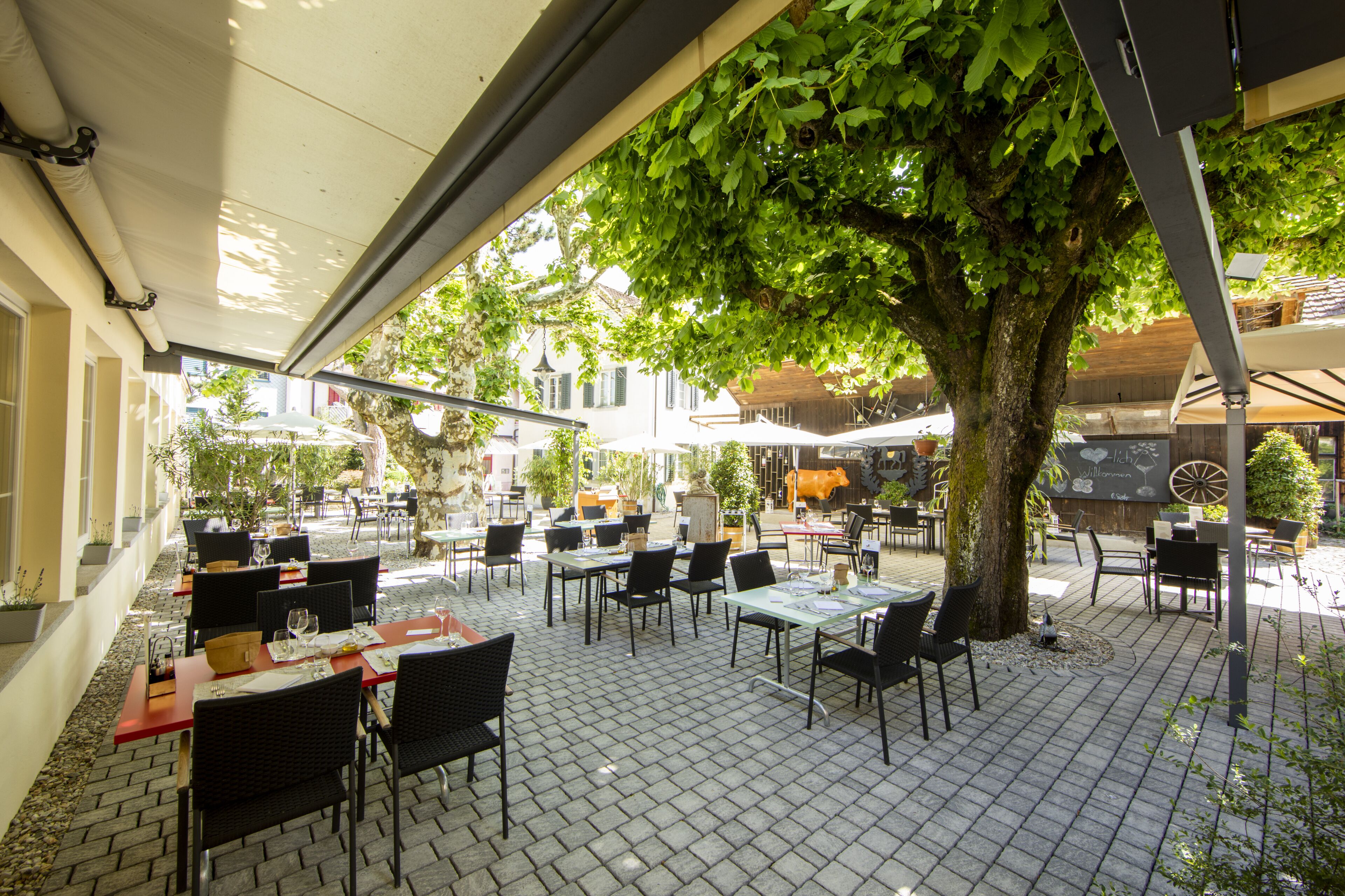 Un café al aire libre con mesas y sillas, rodeado de árboles y edificios.