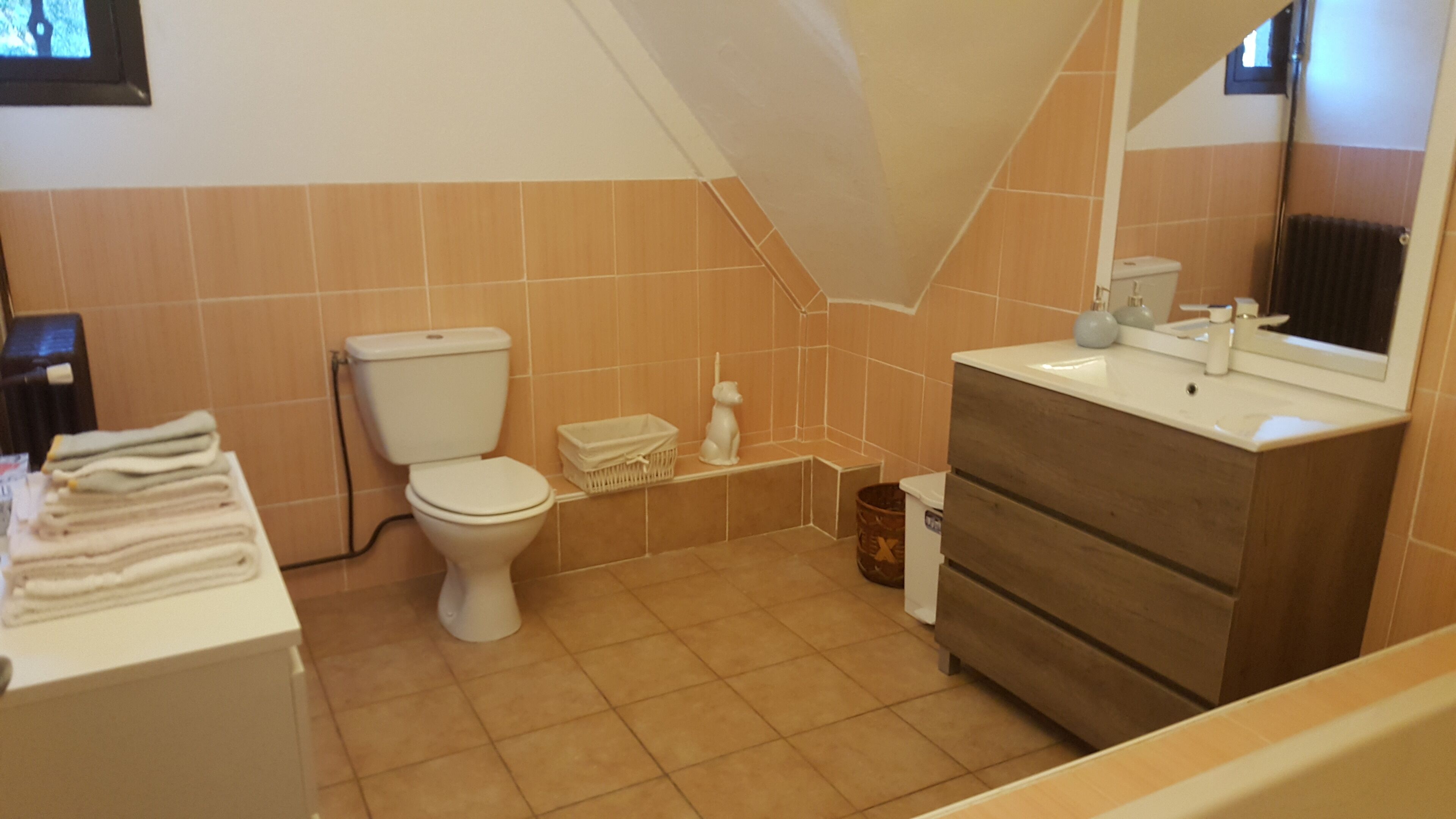 Un bagno con il water, un lavandino e uno specchio. È presente un portascopini e un cestino.