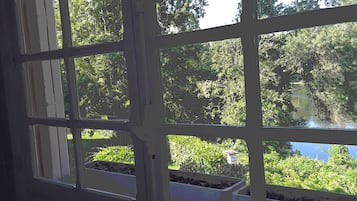 A room with a large window featuring a grid pattern, offering a view of greenery and a water body outside.