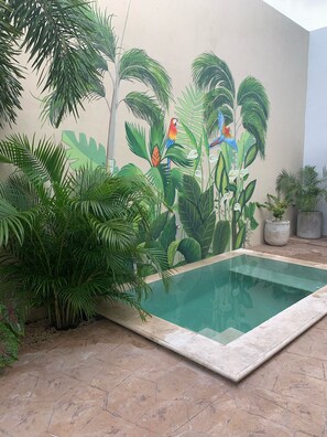 Outdoor pool - Centro Mérida Mexico  single level 2 bedroom house (Mérida)