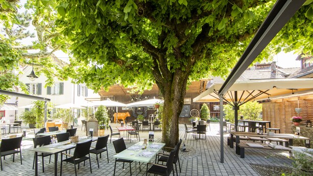 An outdoor café with tables and chairs arranged under a large tree, surrounded by buildings and potted plants. - Gartenhaus by Ochsen Lenzburg (Lenzburg)