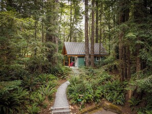 A cabin surrounded by dense forest, accessible by a gravel path. - Secluded Cabin in Redwood Forest (Crescent City)