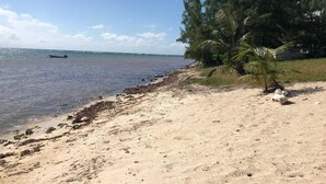 A beach with clear water, a boat in the distance, and a palm tree on the shore.