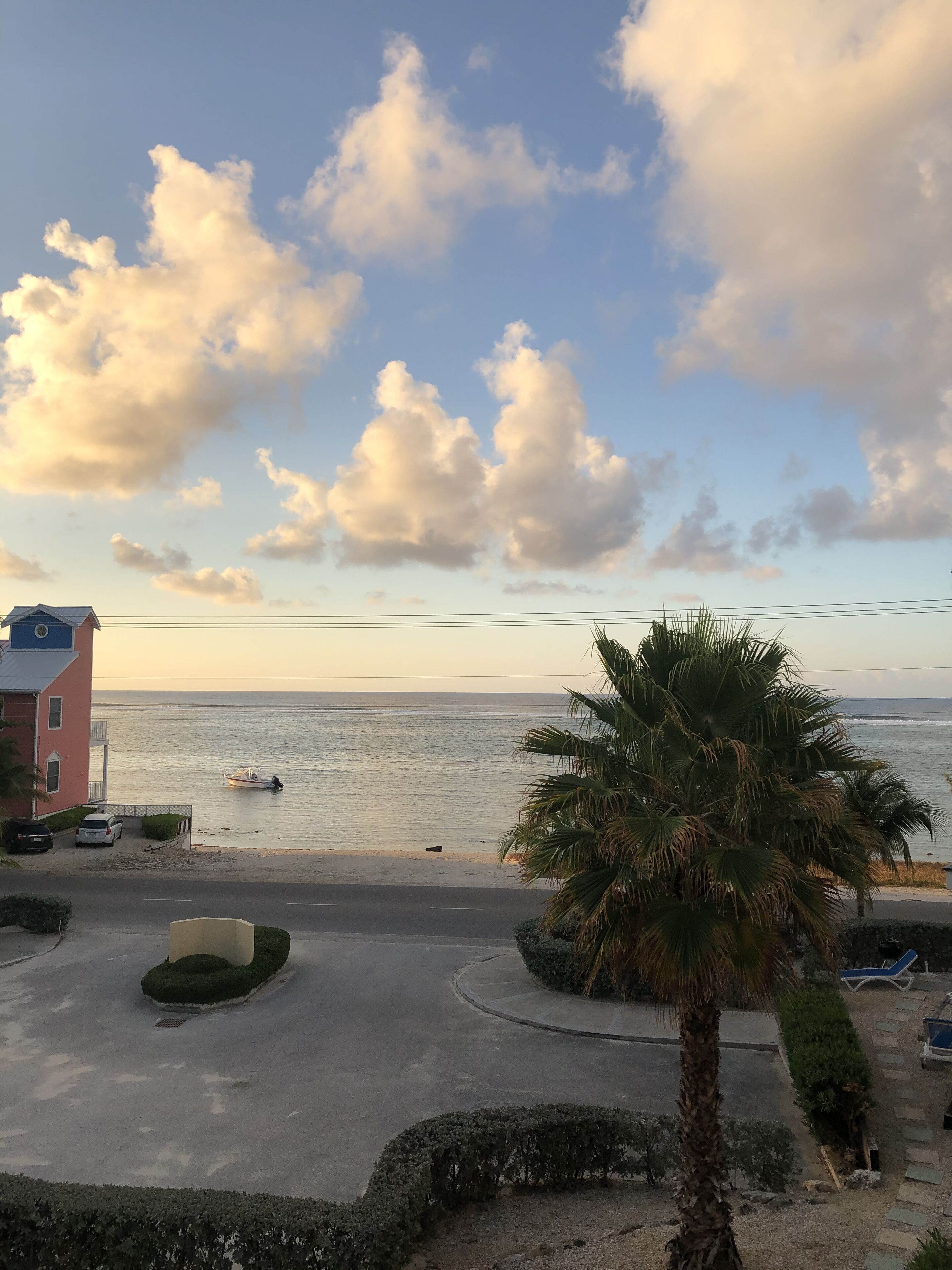 A coastal view with a beach, a palm tree, and a building with a blue roof.
