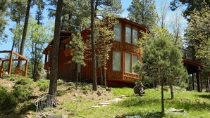 A cabin with a wooden exterior, surrounded by trees and a grassy area.
