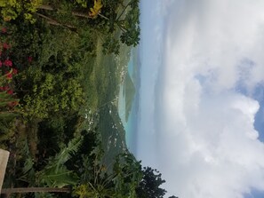 Unclassified image, 2 of 9, button