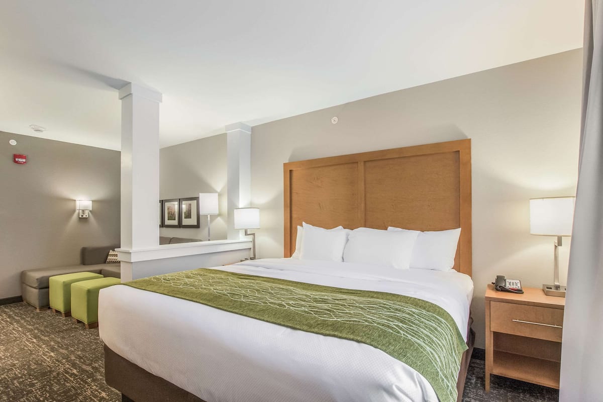 suite, 1 king bed with sofa bed, non smoking | individually furnished, desk, laptop workspace, blackout curtains