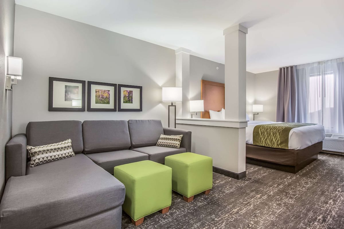 Suite, 1 King Bed with Sofa bed, Non Smoking | 1 bedroom, individually furnished, desk, laptop workspace