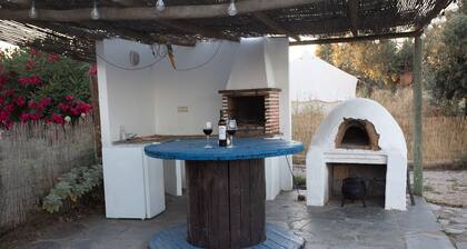 Casa AMARELA - inOrganic farm in Terena - Alentejo, Portugal