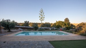 Ein rechteckiger Swimmingpool mit Steinplatten, umgeben von einer Steinterrasse und einer Rasenfläche.