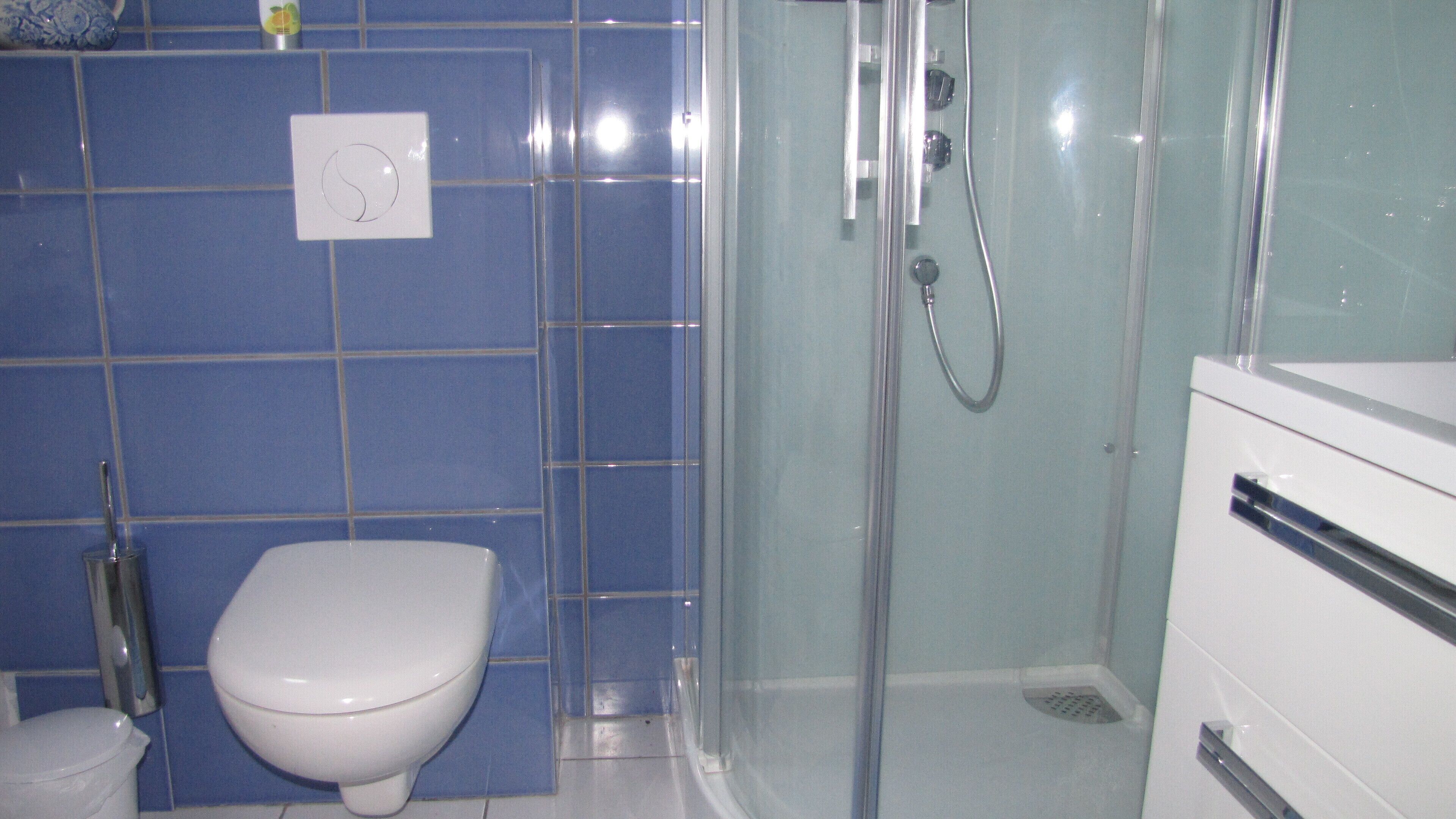 Une salle de bain avec des toilettes, une douche et un lavabo.