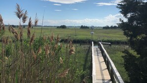 A wooden boardwalk leading through a grassy field with tall reeds and a clear blue sky. - RARE Beachfront AND Wildlife Reserve Home in Broadkill Beach! (Milton)