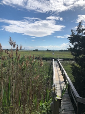 Property grounds - RARE Beachfront AND Wildlife Reserve Home in Broadkill Beach! (Milton)