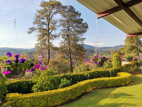 المنطقة المحيطة بالمنشأة