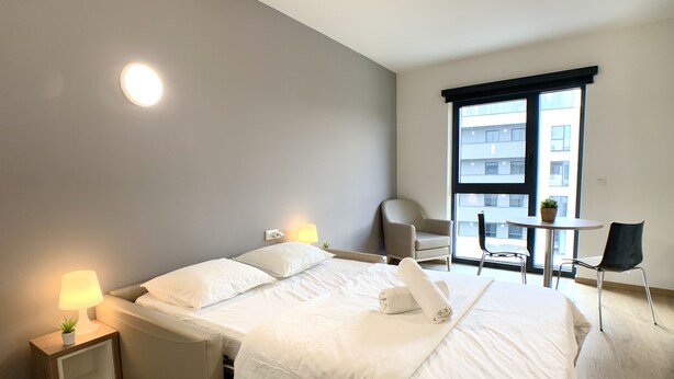 Unclassified image, 1 of 9, button - Fully Furnished Studio - City Center Belval (Esch-sur-Alzette)