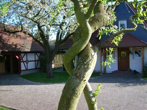 Un árbol con un tronco retorcido frente a una casa tradicional de teja roja.