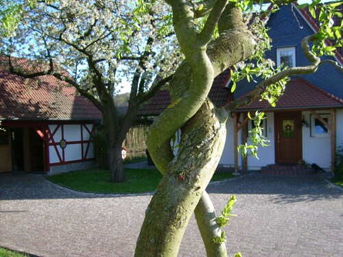 Pure enjoyment of nature on the Werra Valley Cycle Path