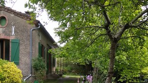 Un chemin de jardin qui mène à un bâtiment dont la façade est en briques et les volets, verts.