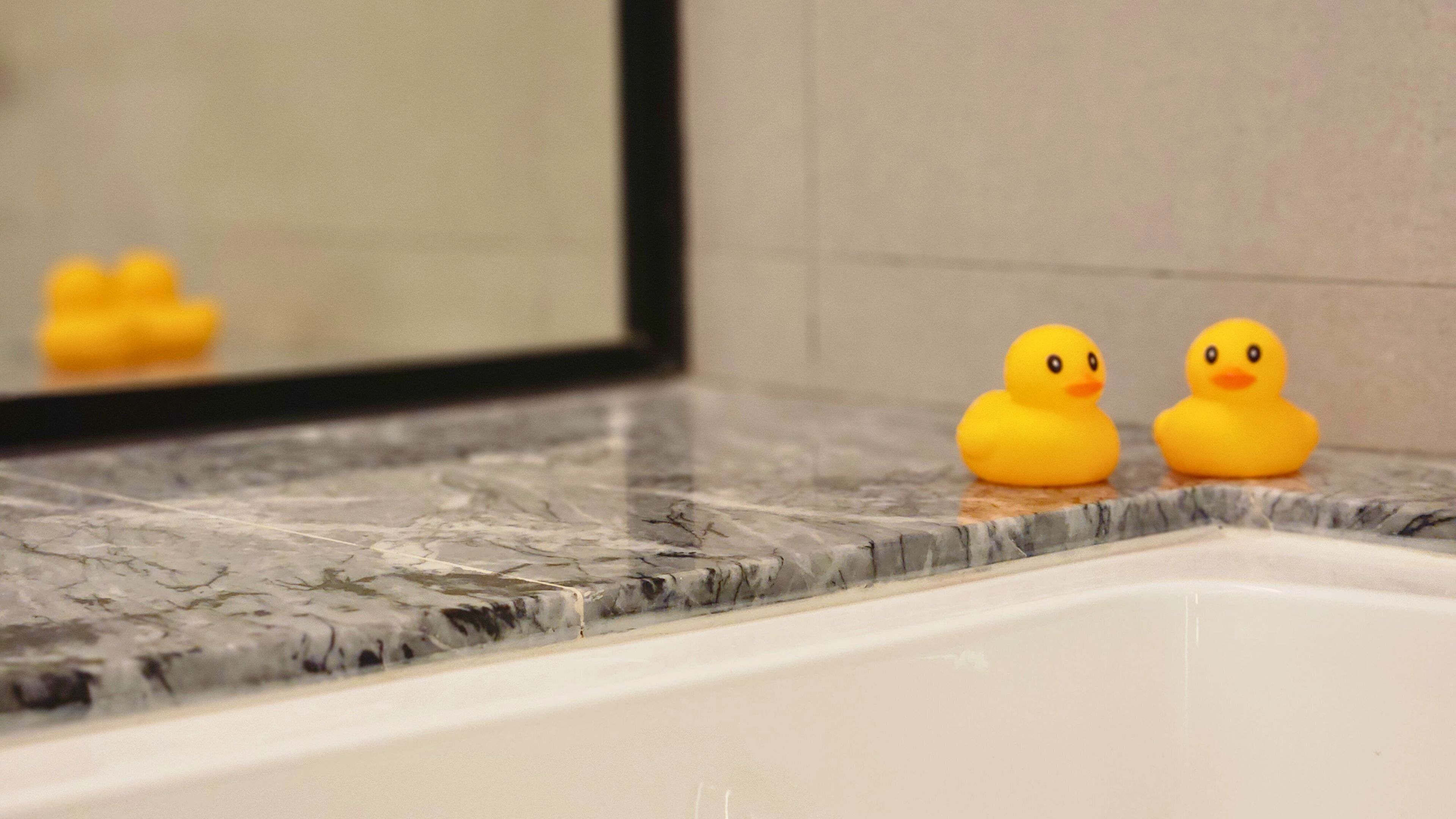 A bathroom with a marble countertop and a bathtub. Two rubber ducks are placed on the countertop.