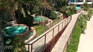 Resort com área de piscina rodeada por vegetação exuberante e palmeiras.