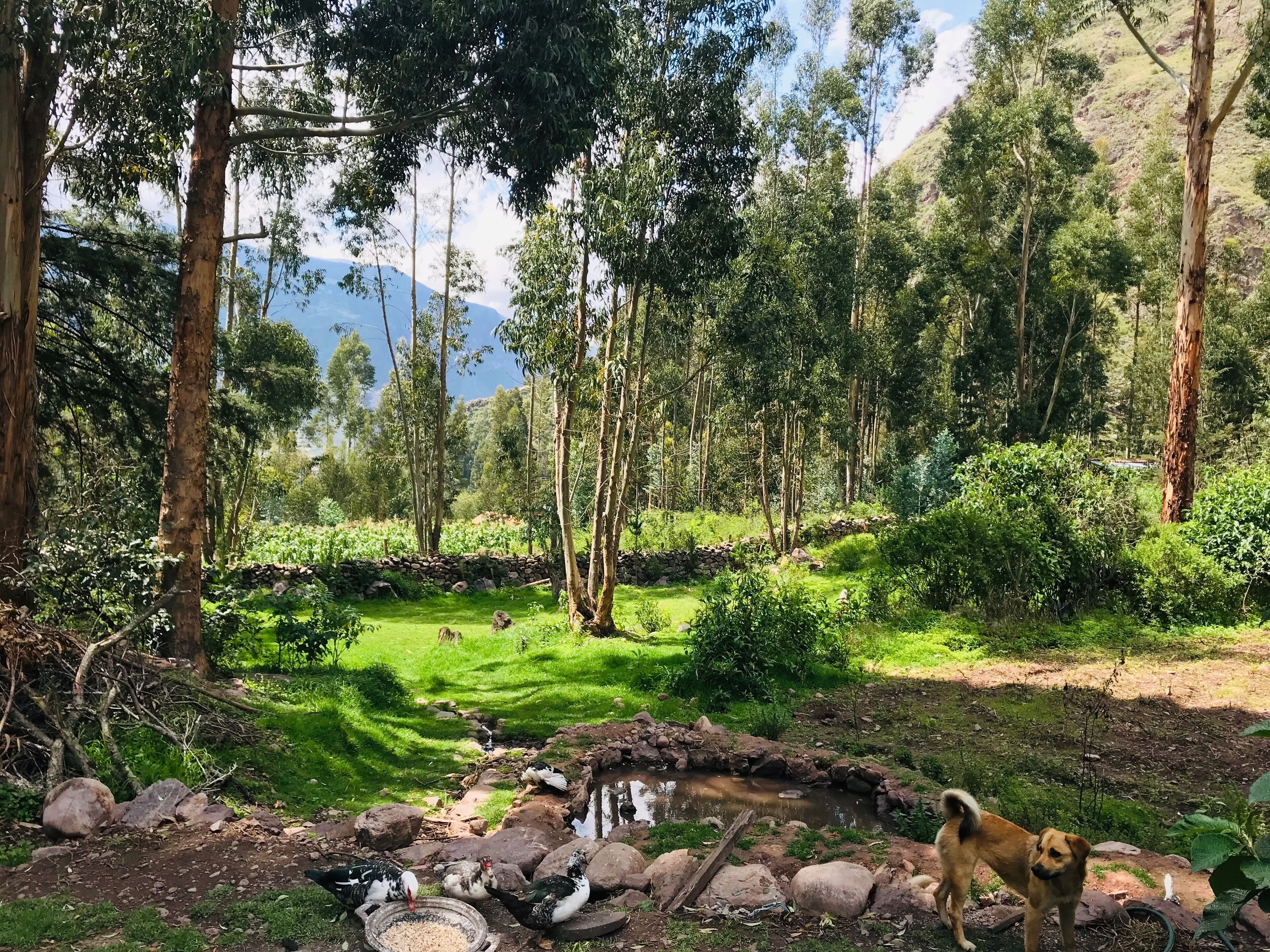 Overnattingsstedets uteområder