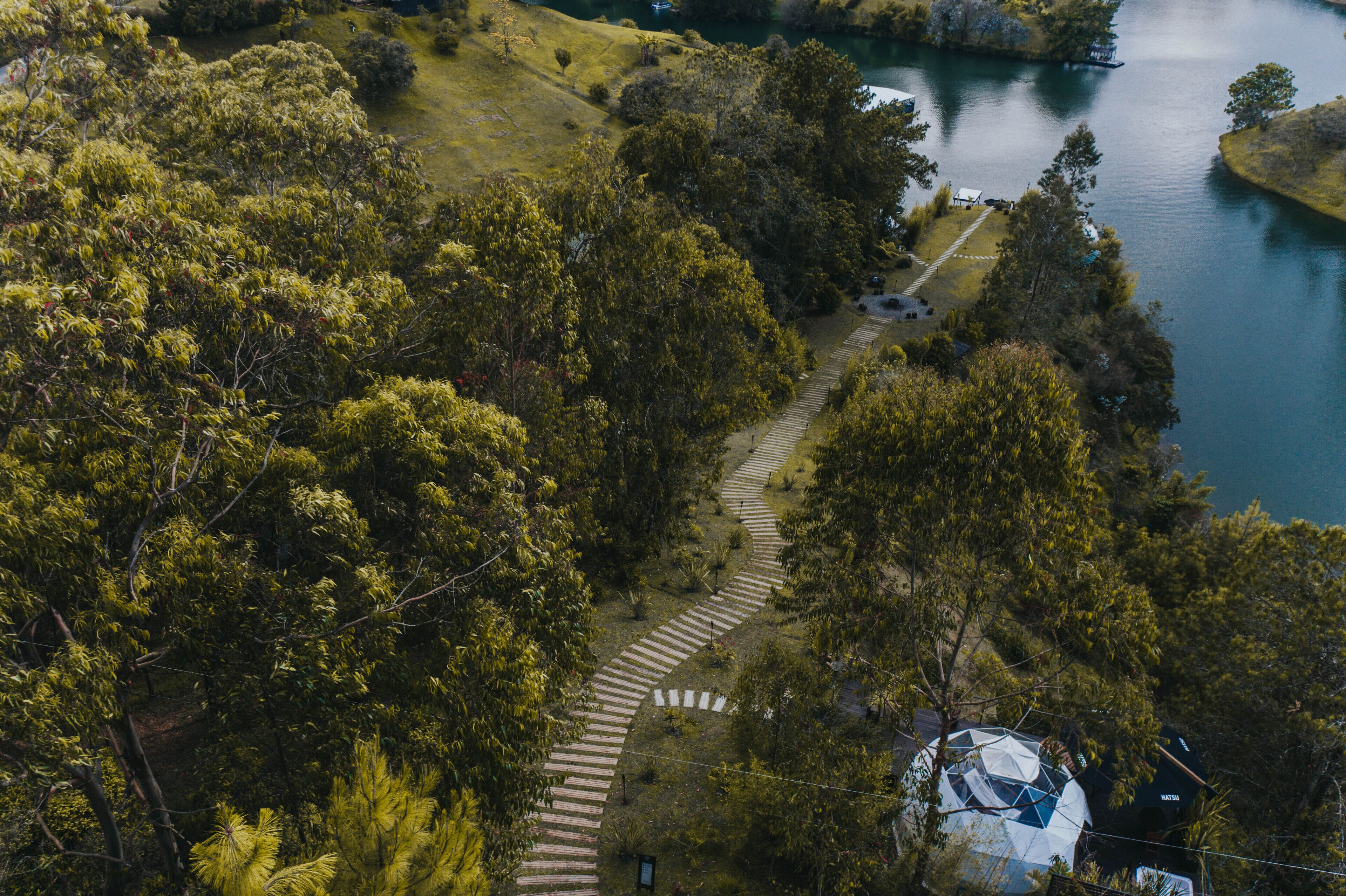 A pathway leading to a lake surrounded by dense trees.