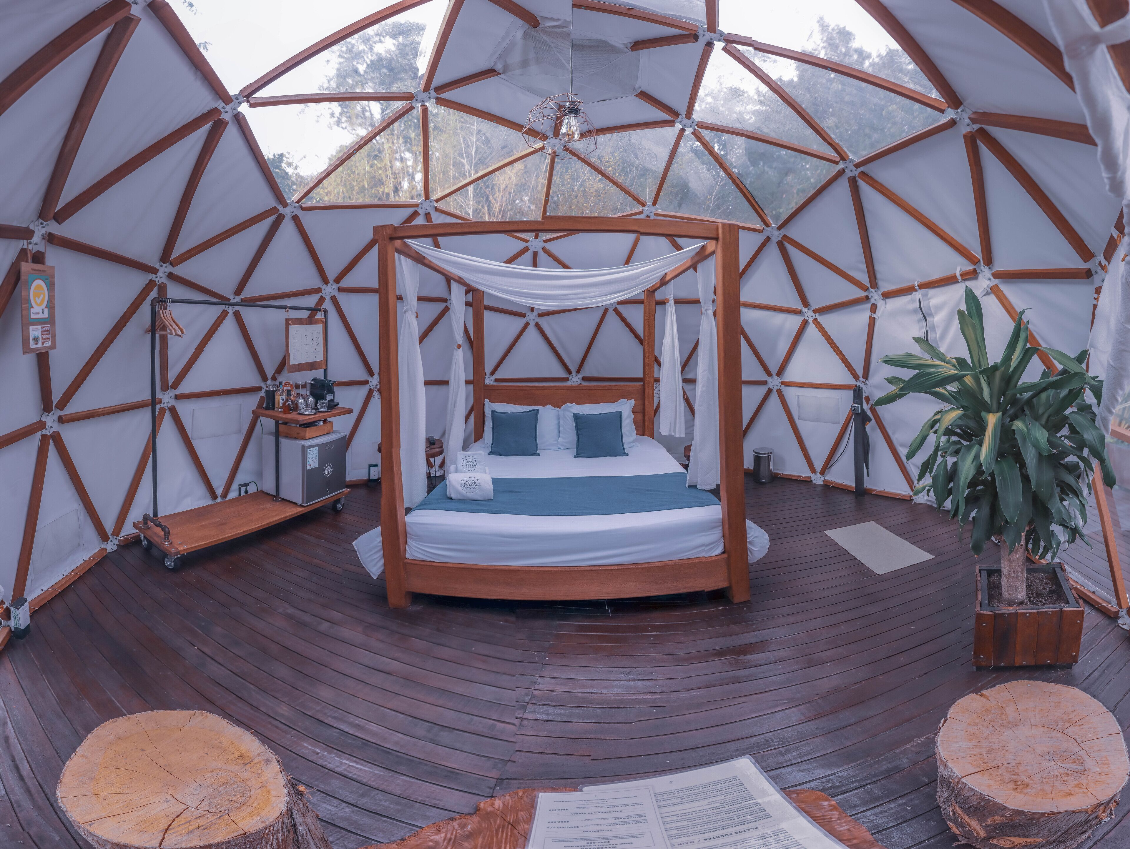 Habitación en forma de cúpula geodésica con una cama, suelo de madera y una planta grande.