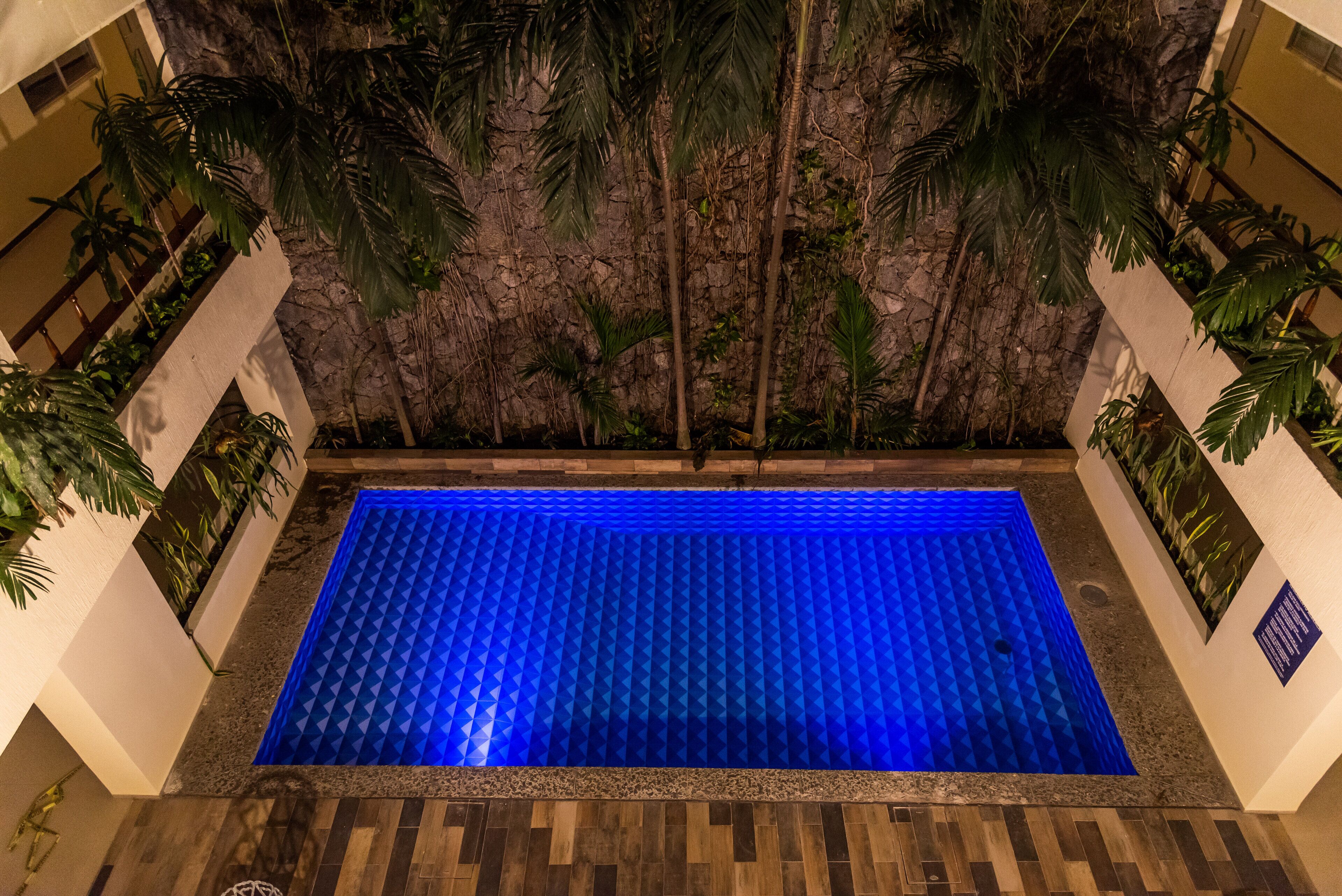 A rectangular pool with blue lighting, surrounded by palm trees and a stone wall.