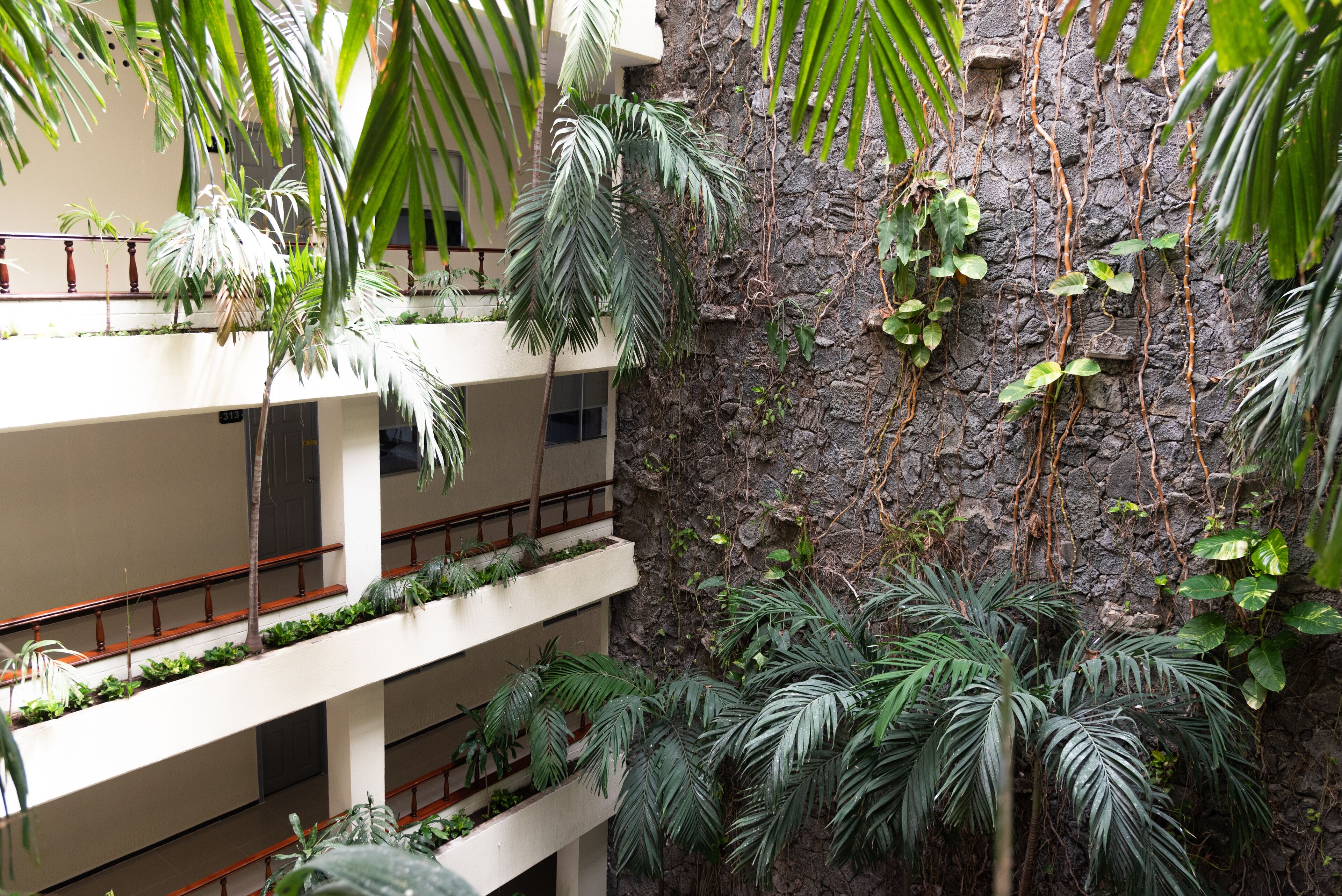 Photo - Hotel Kyrios Veracruz