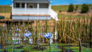 Une maison avec un porche blanc et un étang où flottent des nénuphars au premier plan.
