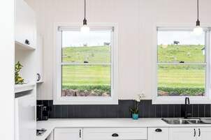A kitchen with two windows, a sink, and a plant.