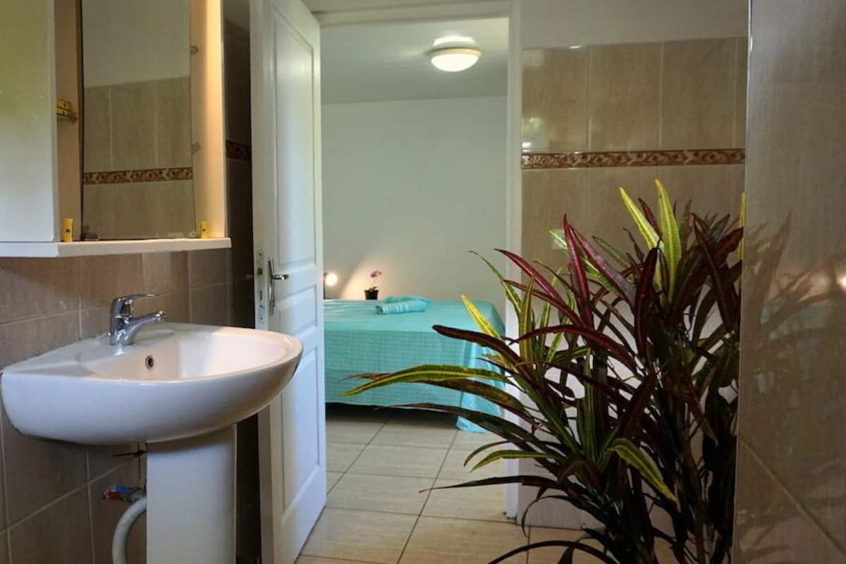 Une salle de bain avec un lavabo, un miroir et une plante.