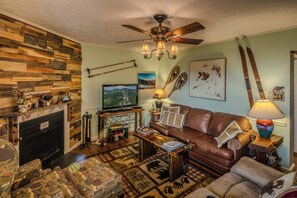 TV, fireplace, DVD player