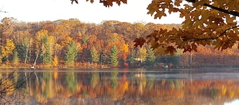 SERENE & BEAUTIFUL MUSKOKA RETREAT with BEACH, HOT TUB & BARREL SAUNA!