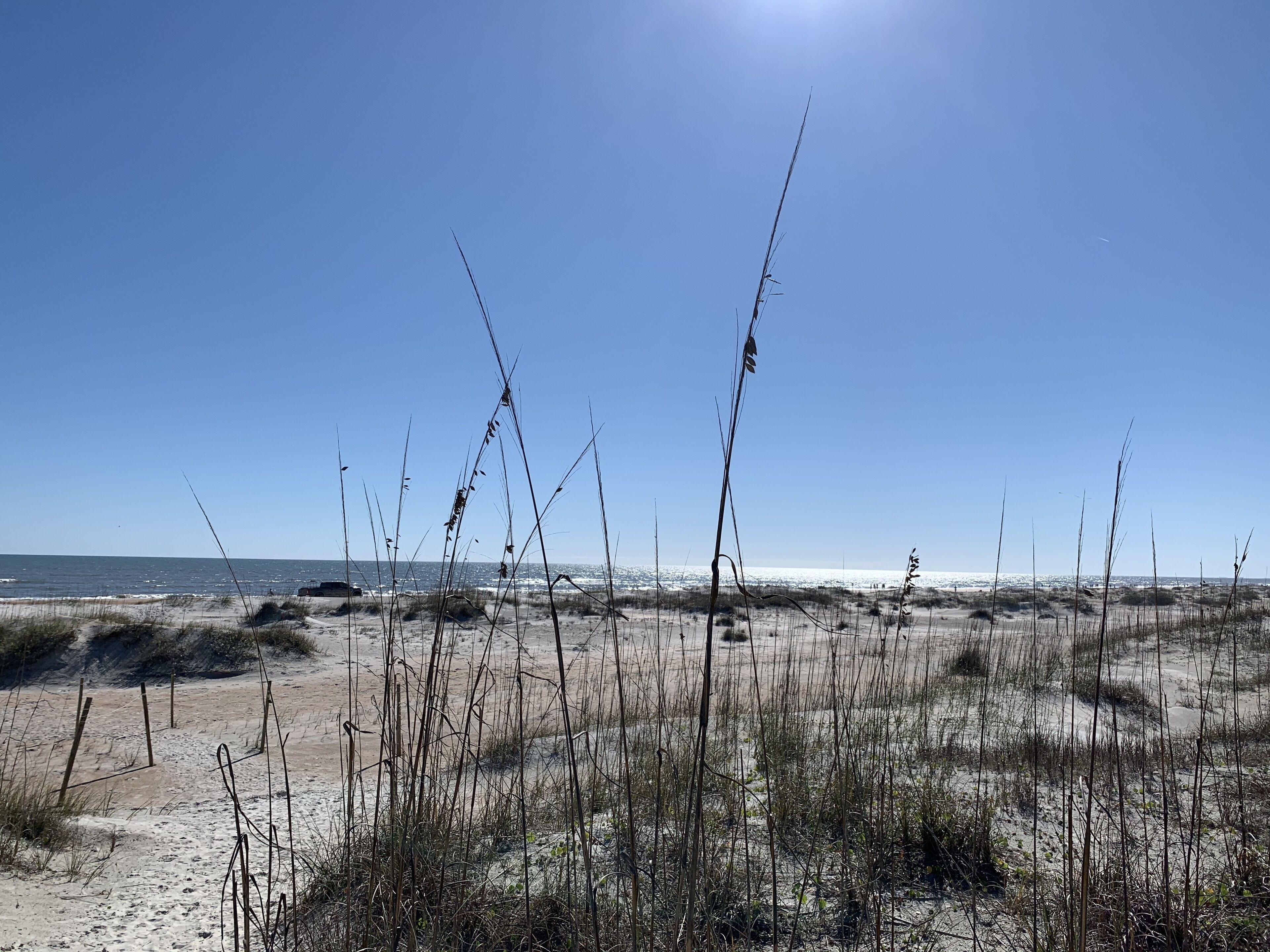 Nær stranden, solsenger og strandhåndklær