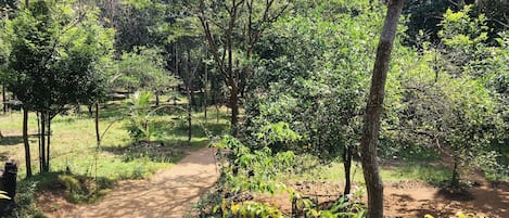 Deluxe Tree House | Garden view