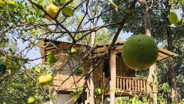 A wooden house with a balcony, surrounded by lush greenery and trees. - Ruk Sewana Villa (Sigiriya)