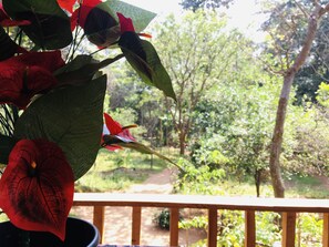 A potted plant with red flowers on a balcony overlooking a garden. - Ruk Sewana Villa (Sigiriya)