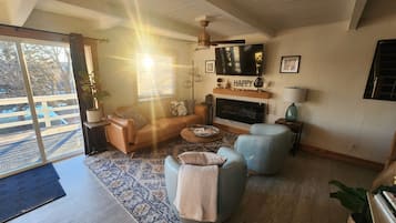 Smart TV, fireplace, books