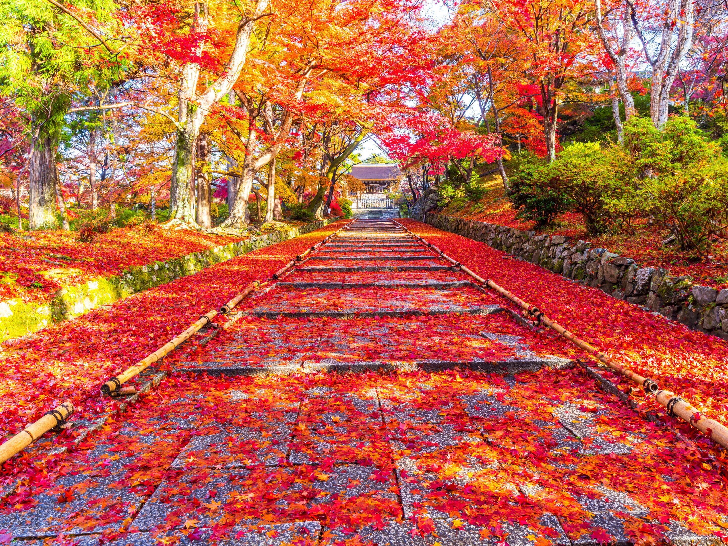 Photo - The Machiya Ebisuya