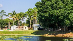 Una propiedad junto al lago con una casa pequeña, un muelle y un estanque cubierto de lirios.